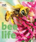 Bee Life By Lynette Evans, Francesca D'Ottavi (Illustrator) Cover Image