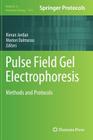Pulse Field Gel Electrophoresis: Methods and Protocols (Methods in Molecular Biology #1301) By Kieran Jordan (Editor), Marion Dalmasso (Editor) Cover Image
