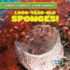1,000-Year-Old Sponges! (World's Longest-Living Animals) By Joni Kelly Cover Image