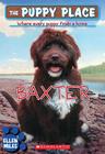 Baxter (Puppy Place #19) By Ellen Miles Cover Image