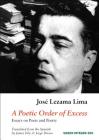A Poetic Order of Excess: Essays on Poets and Poetry Cover Image