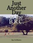 Just Another Day at the B.R.C. By Ray Delmastro Cover Image