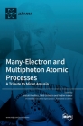 Many-Electron and Multiphoton Atomic Processes: A Tribute to Miron Amusia Cover Image