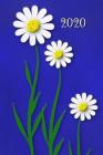 2020: Agenda semainier 2020 - Calendrier des semaines 2020 - Turquoise pointillé - fleurs By Gabi Siebenhuhner Cover Image