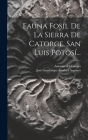 Fauna Fosil De La Sierra De Catorce, San Luis Potosí... By Antonio Del Castillo, José Guadalupe Aguilera Serrano (Created by) Cover Image