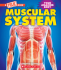 Muscular System (A True Book: Your Amazing Body) (A True Book (Relaunch)) By Natasha Vizcarra Cover Image