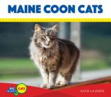 Maine Coon Cats (Big Buddy Cats) By Katie Lajiness Cover Image