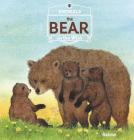 The Bear (Animals in the Wild) Cover Image