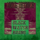 Blackwater Rising Cover Image