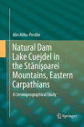 Natural Dam Lake Cuejdel in the Stânişoarei Mountains, Eastern Carpathians: A Limnogeographical Study By Alin Mihu-Pintilie Cover Image
