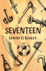 Seventeen: or The Blood City Tommy O'Reilly Benefit Tour By David G. Bailey Cover Image