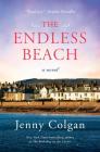 The Endless Beach: A Novel Cover Image