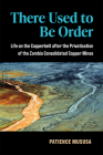 There Used to Be Order: Life on the Copperbelt after the Privatisation of the Zambia Consolidated Copper Mines (African Perspectives) By Patience Mususa Cover Image