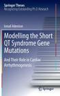 Modelling the Short Qt Syndrome Gene Mutations: And Their Role in Cardiac Arrhythmogenesis (Springer Theses) By Ismail Adeniran Cover Image