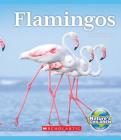 Flamingos (Nature's Children) Cover Image