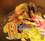 Bees (Science Kids: Life Cycles) By Katie Gillespie Cover Image
