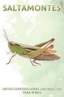 Saltamontes: Datos curiosos sobre los insectos para niños #1 By Michelle Hawkins Cover Image