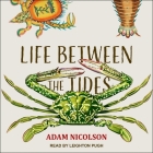 Life Between the Tides Cover Image