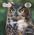 Owls (Backyard Safari) By Wil Mara Cover Image