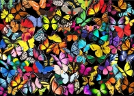 Brain Tree - Unique Butterflies 1000 Pieces Jigsaw Puzzle for Adults: With Droplet Technology for Anti Glare & Soft Touch Cover Image