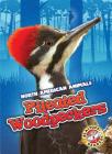 Pileated Woodpeckers (North American Animals) By Rebecca Sabelko Cover Image