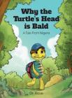Why the Turtle's Head is Bald By Rose Ihedigbo Cover Image