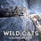Wild Cats: 2021 Calendar, Cute Gift Idea For Big Cats Lovers Men And Women By Bewildered Jelly Press Cover Image