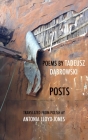 Posts (New Polish Writing) By Tadeusz Dabrowski, Antonia Lloyd-Jones (Translator) Cover Image