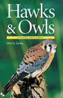 Hawks & Owls of Eastern North America By Chris Earley Cover Image