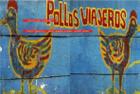 Pollos Viajeros/Travelling Chickens Cover Image