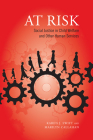 At Risk: Social Justice in Child Welfare and Other Human Services Cover Image
