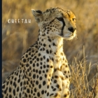 Cheetah: Full Color Photo Book - Africa Safari - Animal World Picture Book Cover Image