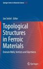 Topological Structures in Ferroic Materials: Domain Walls, Vortices and Skyrmions By Jan Seidel (Editor) Cover Image