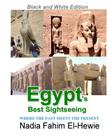 Egypt's Best Sightseeing (Black & White Edition): Where the past meets the present Cover Image