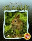 Little Rabbits (Born to Be Wild) By Colette Barbe-Julien Cover Image