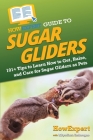 HowExpert Guide to Sugar Gliders: 101+ Tips to Learn How to Get, Raise, and Care for Sugar Gliders as Pets By Howexpert, Krystiana Imbrogno Cover Image