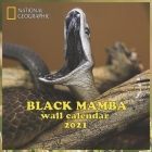 Black Mamba Wall Calendar 2021: BLACK MAMBA WALL CALENDAR 2021 8.5x8.5 FINISH GLOSSY Cover Image