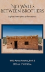 No Walls Between Brothers: A Ghost Town Gives Up Her Secrets By Dena Twinem Cover Image