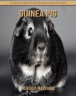 Guinea pig: An Amazing Animal Picture Book about Guinea pig for Kids By Heather Marshall Cover Image