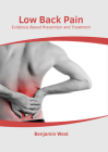 Low Back Pain: Evidence-Based Prevention and Treatment By Benjamin West (Editor) Cover Image