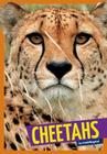 Cheetahs (Wild Cats) By Arnold Ringstad Cover Image