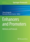 Enhancers and Promoters: Methods and Protocols (Methods in Molecular Biology #2351) By Tilman Borggrefe (Editor), Benedetto Daniele Giaimo (Editor) Cover Image