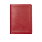 Lsb New Testament with Psalms and Proverbs, Burgundy Faux Leather: Legacy Standard Bible By Steadfast Bibles Cover Image