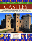 The Amazing World of Castles By Barbara Taylor Cover Image
