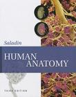 Human Anatomy By Susannah Longenbaker, Kenneth S. Saladin Cover Image