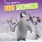 All about Baby Penguins By Martha E. H. Rustad Cover Image