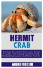 Hermit Crabs: Everything You Need To Know About Raising A Healthy Crab Including Care, Food, Habitat, Behaviour, Uses And Hermit As Cover Image