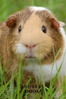 My Address Book: Cute Guinea Pig - Address Book for Names, Addresses, Phone Numbers, E-mails and Birthdays Cover Image