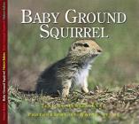 Baby Ground Squirrel (Nature Babies) Cover Image