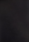 Esv, Thompson Chain-Reference Bible, Bonded Leather, Black, Red Letter, Thumb Indexed By Frank Charles Thompson (Editor), Zondervan Cover Image